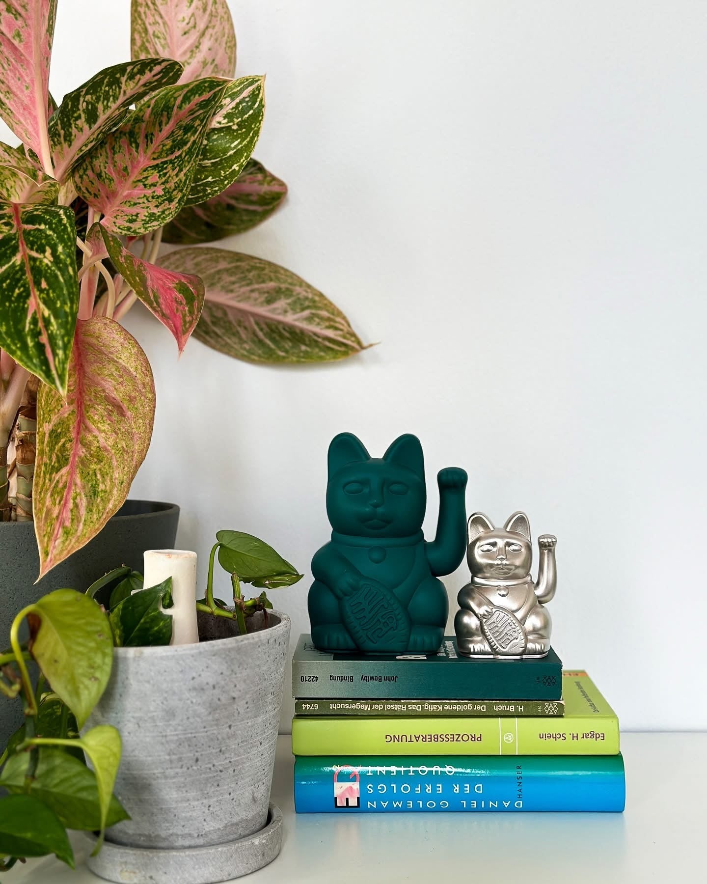 Srečna zelena mačka