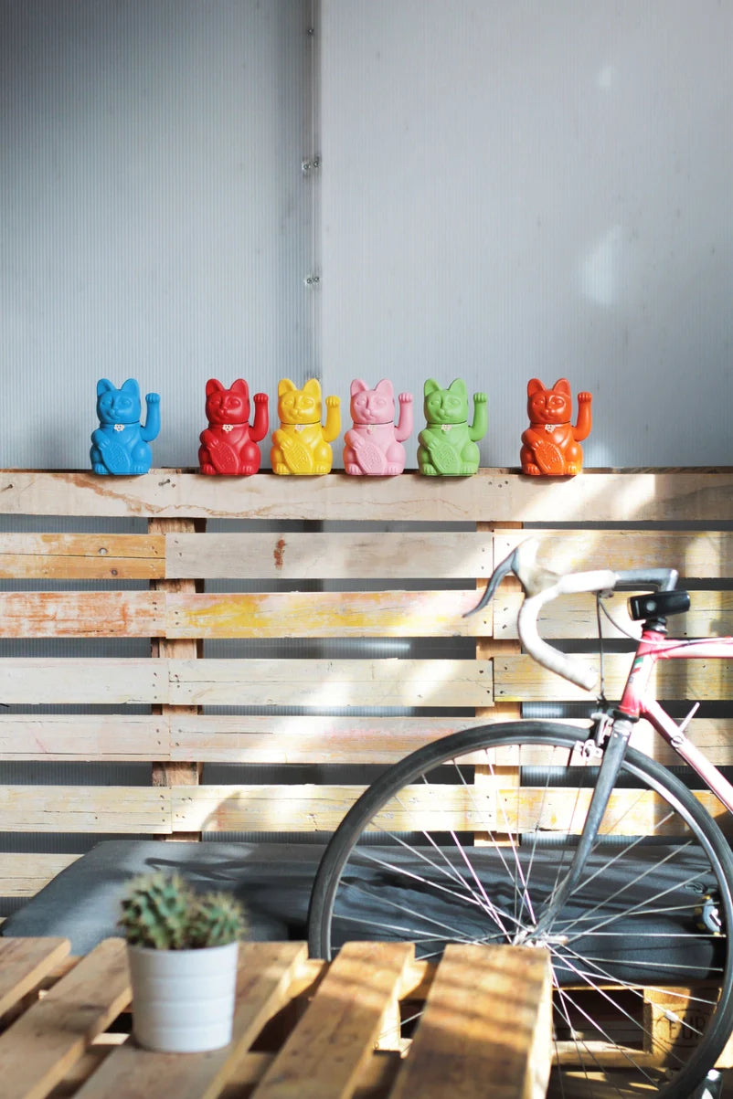 chat-chanceux-rose-pale-diminuto-cielo 