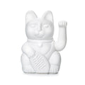 Glückliche weiße Katze