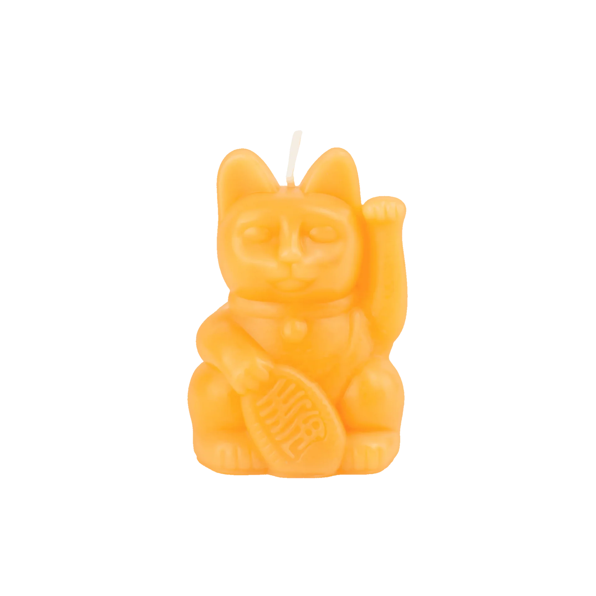 Candela gatto pesca portafortuna