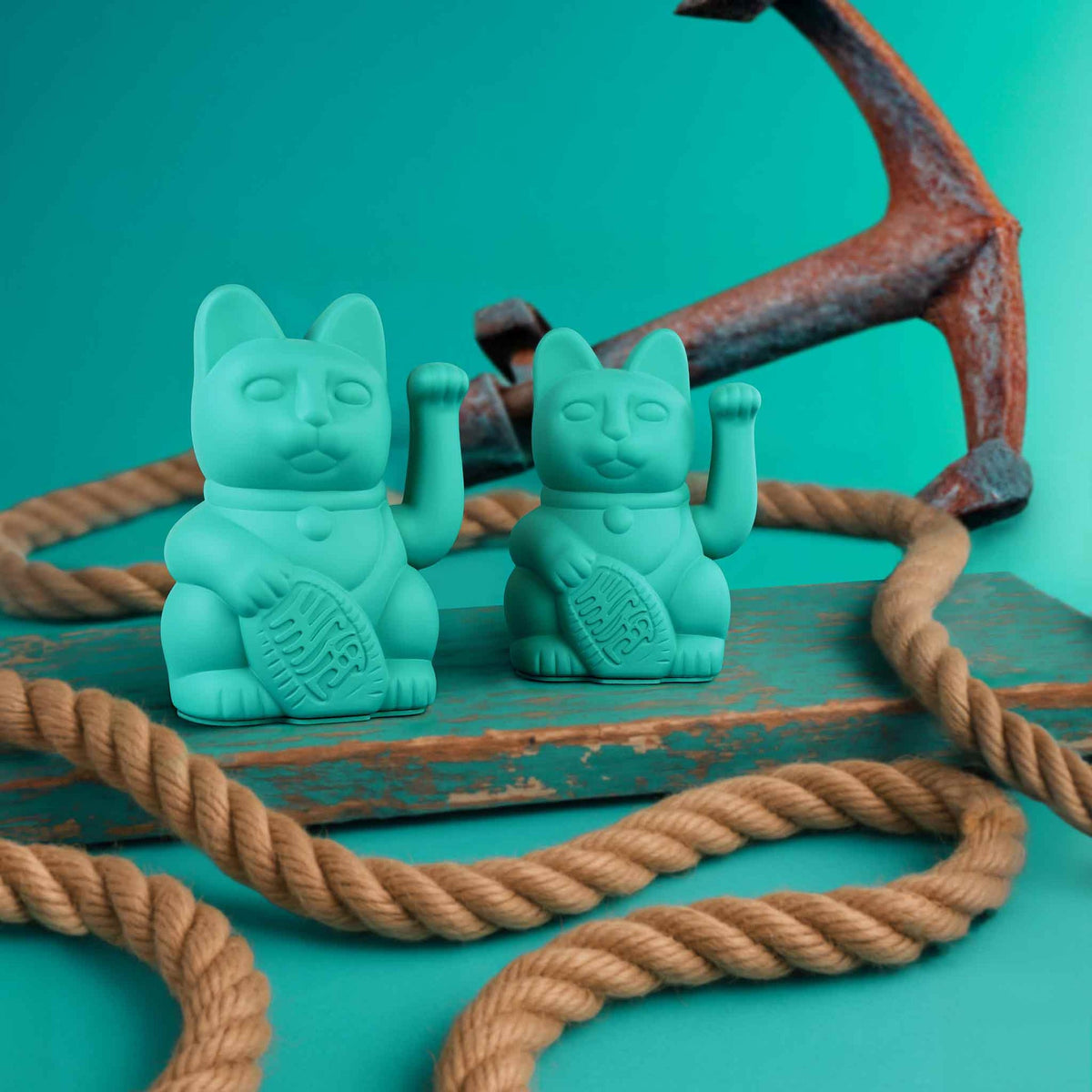 Mise en situation : Chat Chanceux Turquoise – Donkey Products