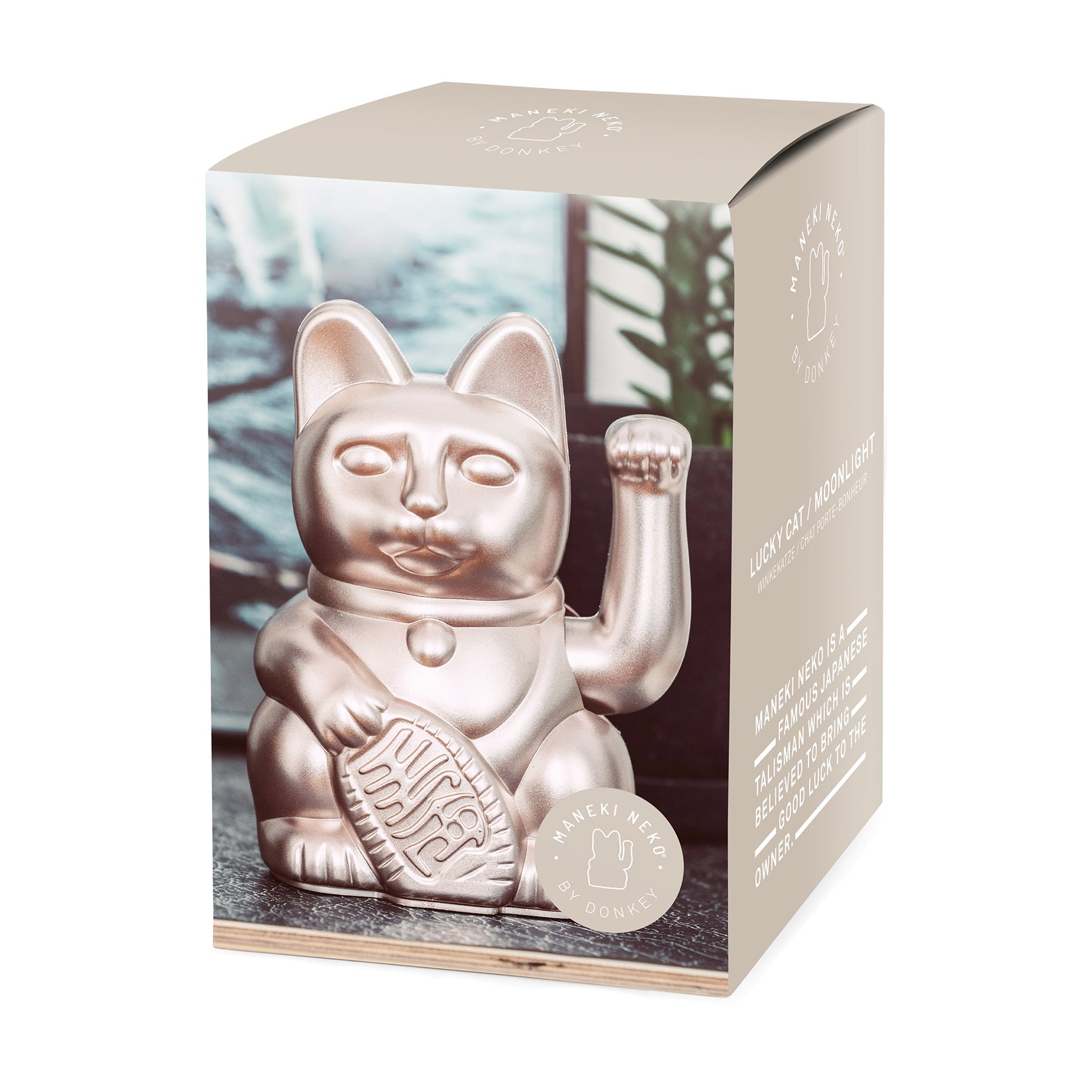 Glückliches Katzenmond