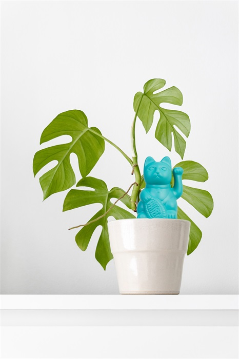 arroseur-autonome-chat-chanceux-bleu-bitten 