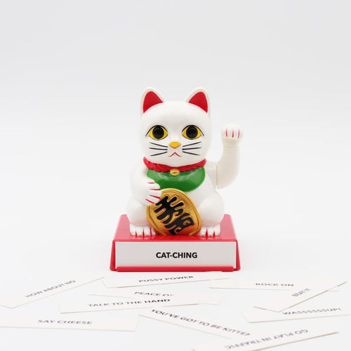 Lucky Cat Cattidude - Maneki Neko - huvudvy - Locomocean