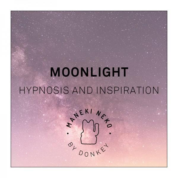 chat-chanceux-moonlight-donkey 