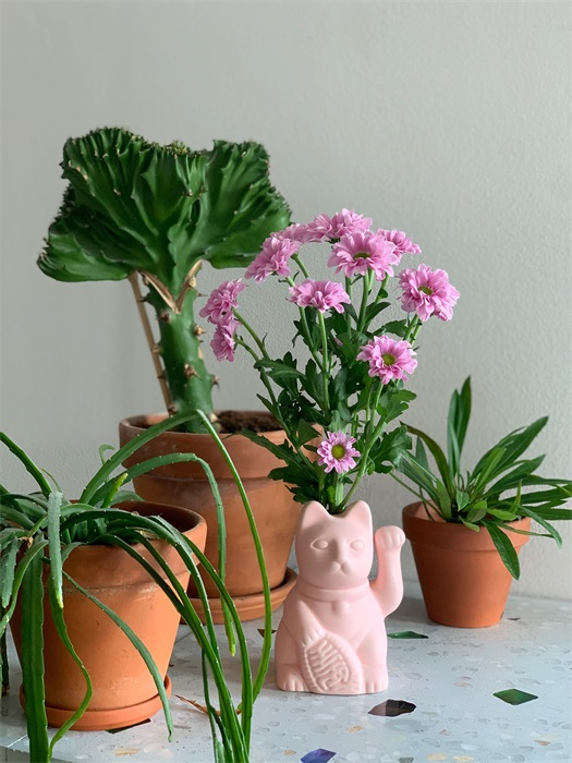 diffuseur-de-parfum-chat-chanceux-rose-bitten 