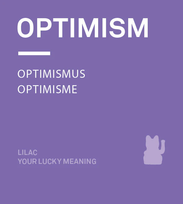 Grote Lila Gelukskat