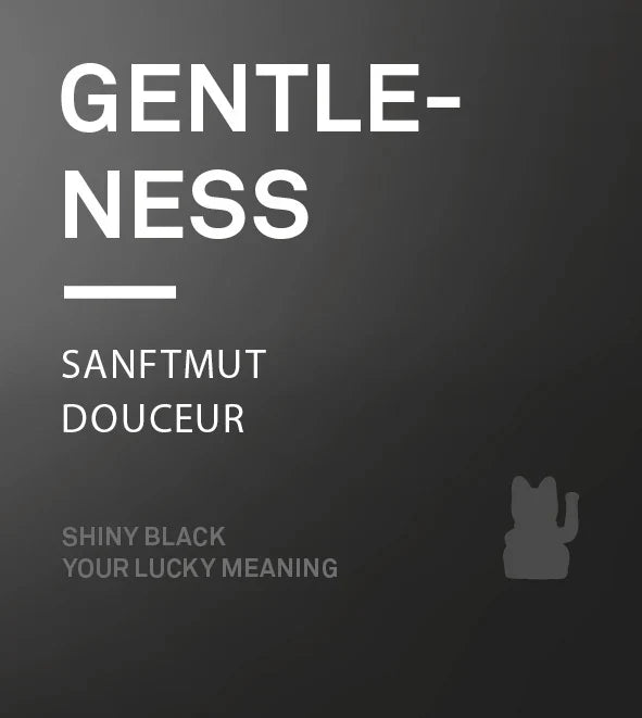 Chat Chanceux Noir Glossy – visuel produit