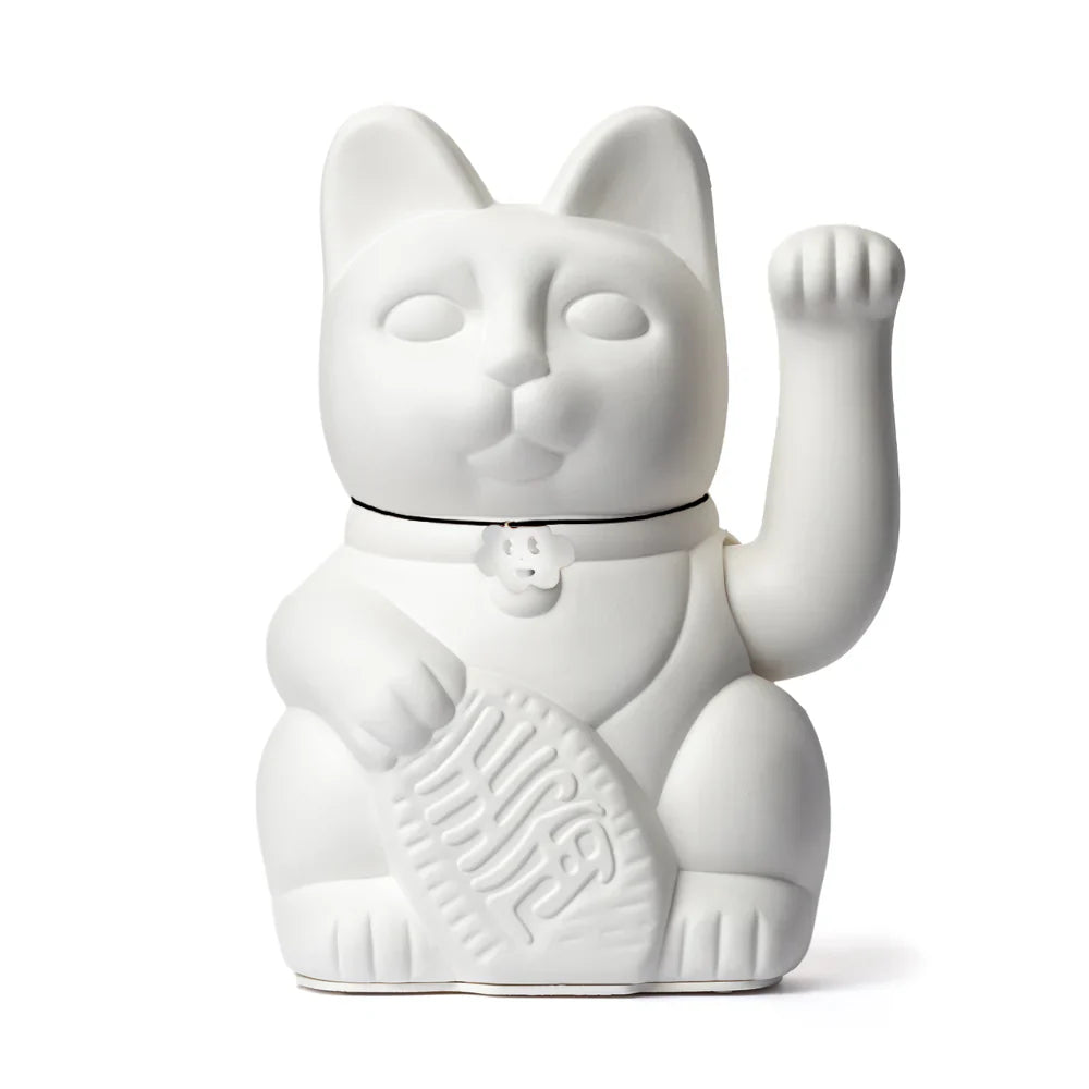 Glückliche weiße Katze