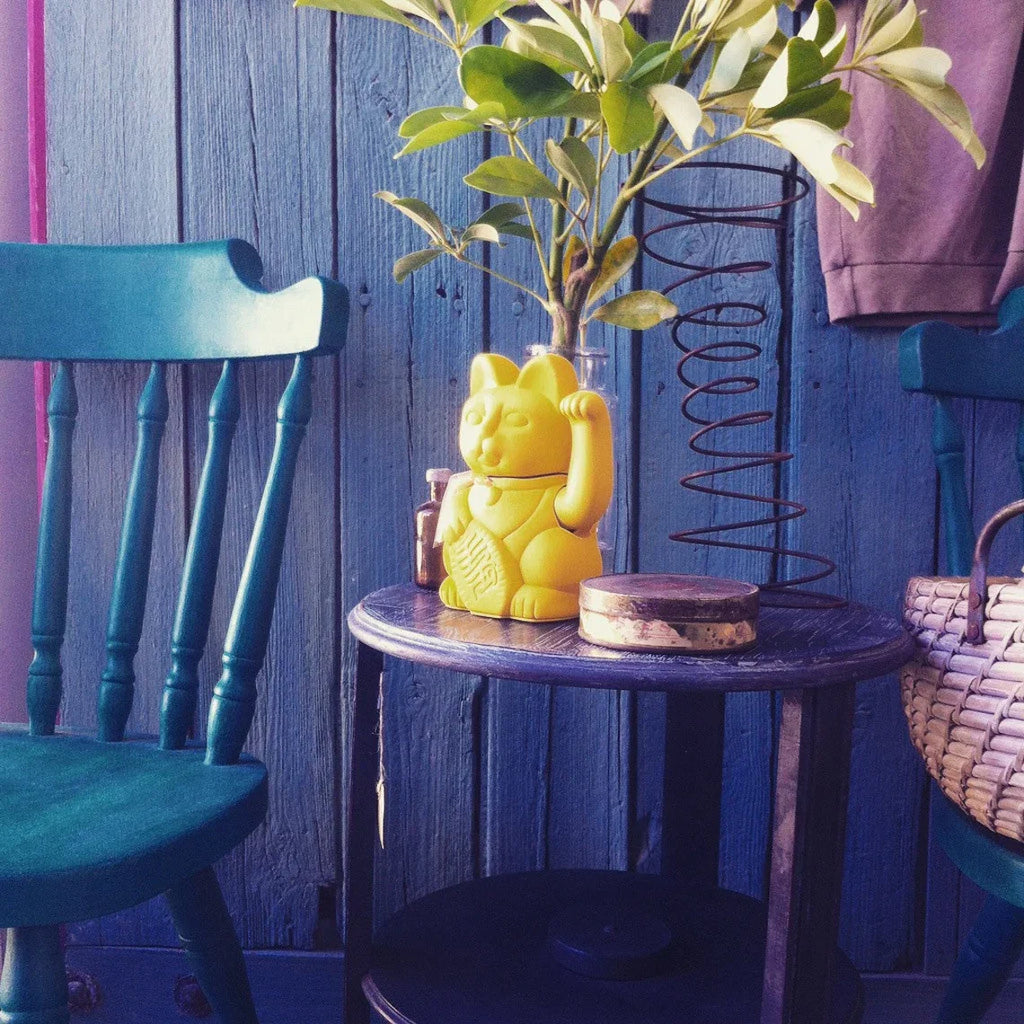 chat-chanceux-jaune-citron-diminuto-cielo 