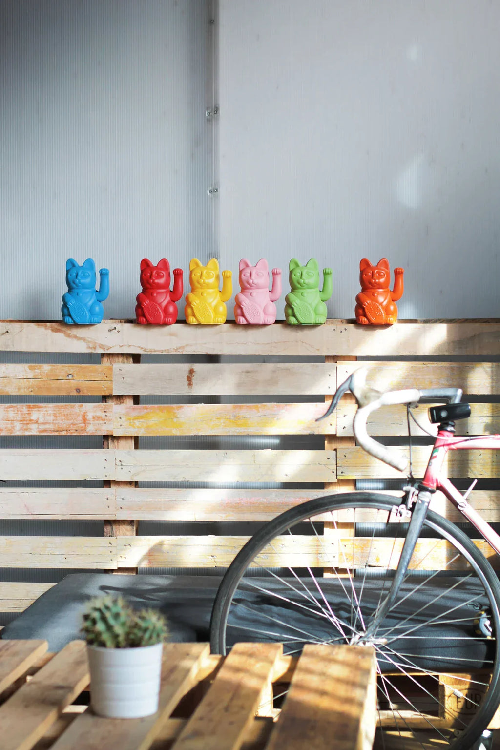 chat-chanceux-bleu-ciel-diminuto-cielo 