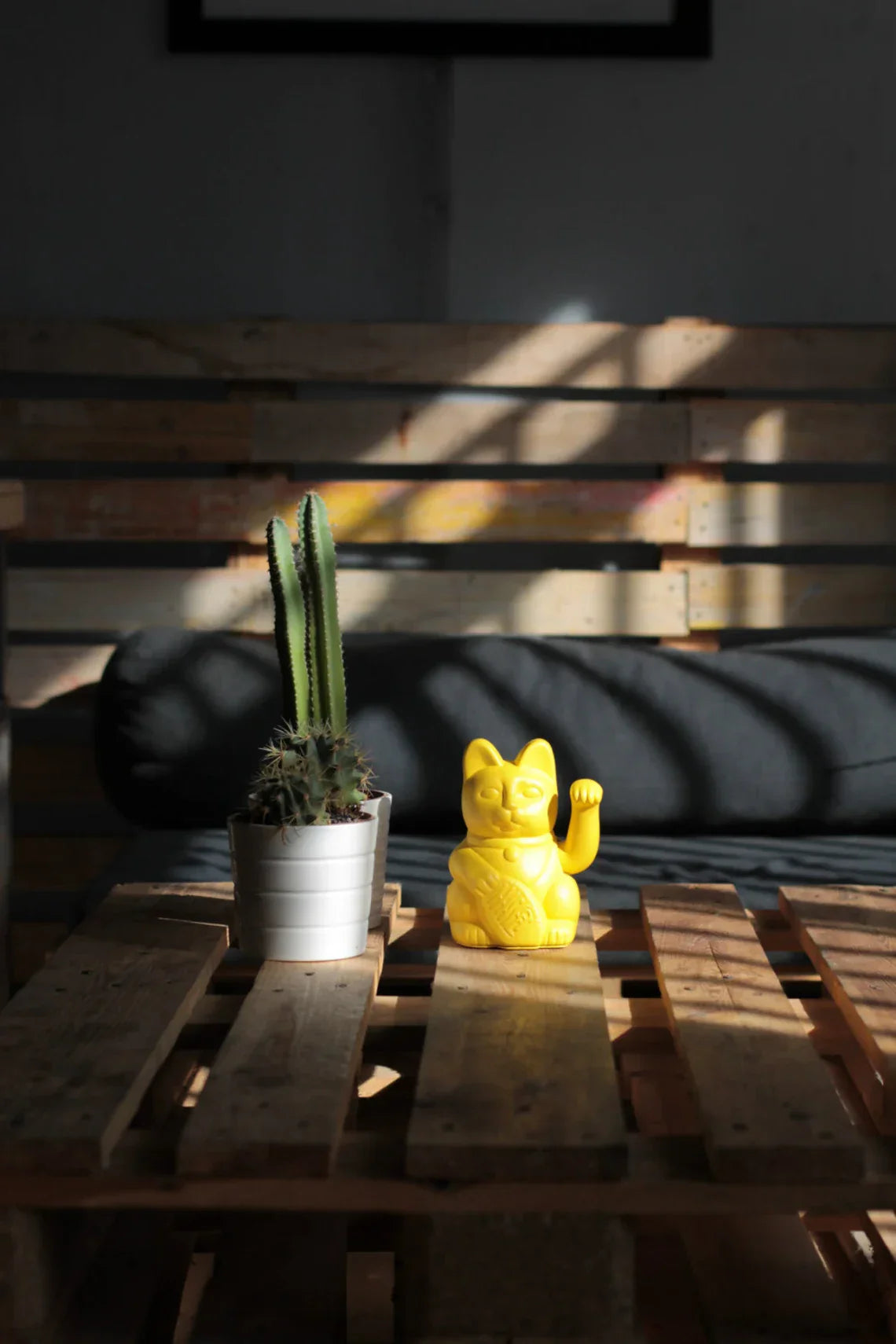 chat-chanceux-jaune-citron-diminuto-cielo 