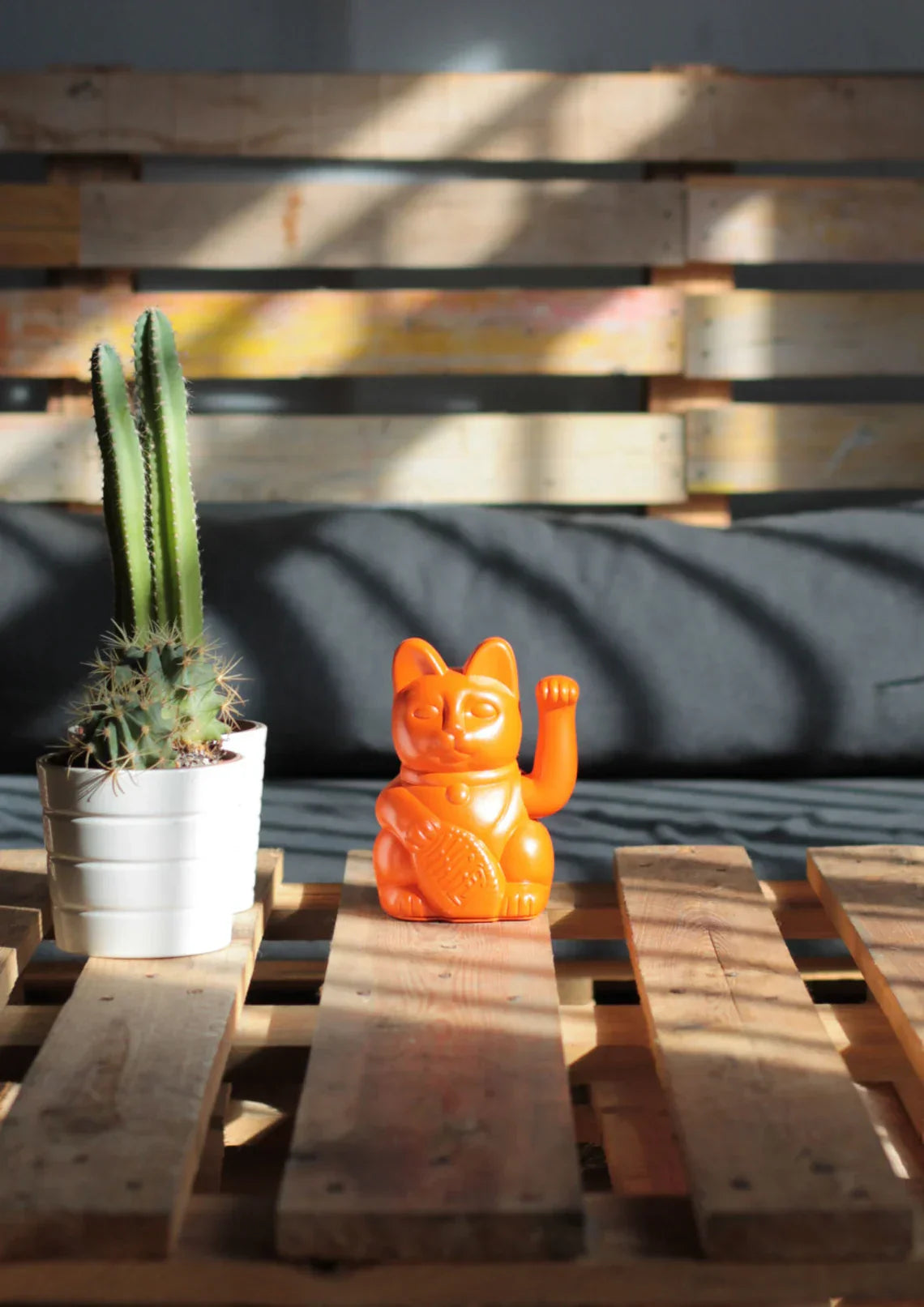 chat-chanceux-orange-diminuto-cielo 