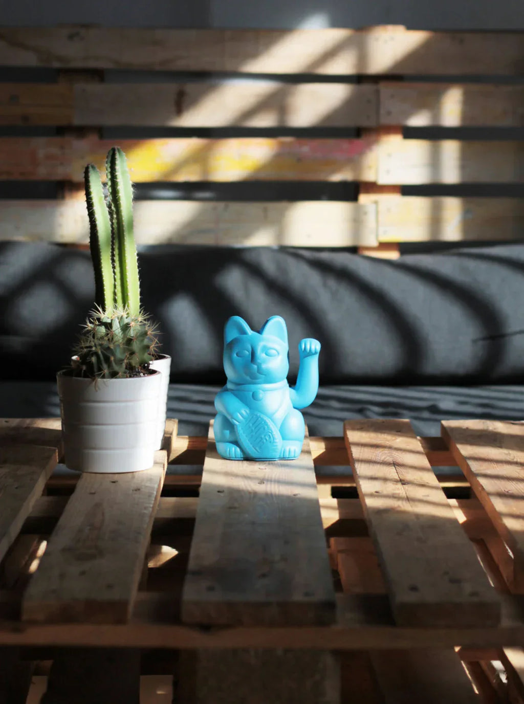 chat-chanceux-bleu-ciel-diminuto-cielo 