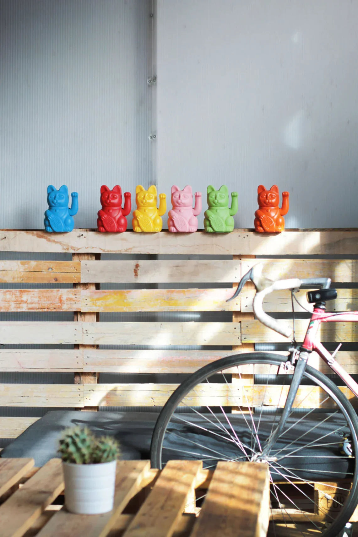 chat-chanceux-rouge-violet-diminuto-cielo 