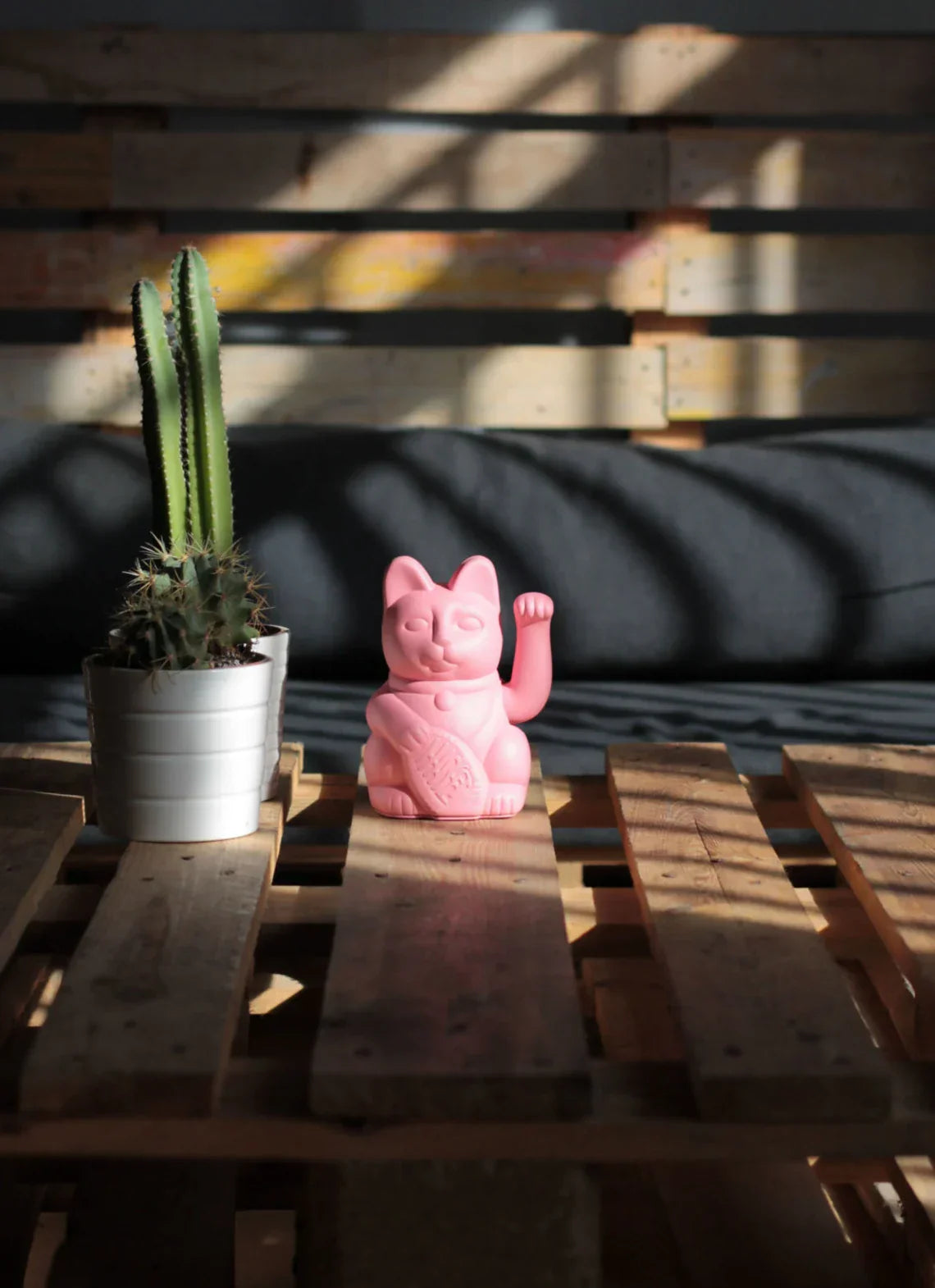 chat-chanceux-rose-bubblegum-diminuto-cielo 