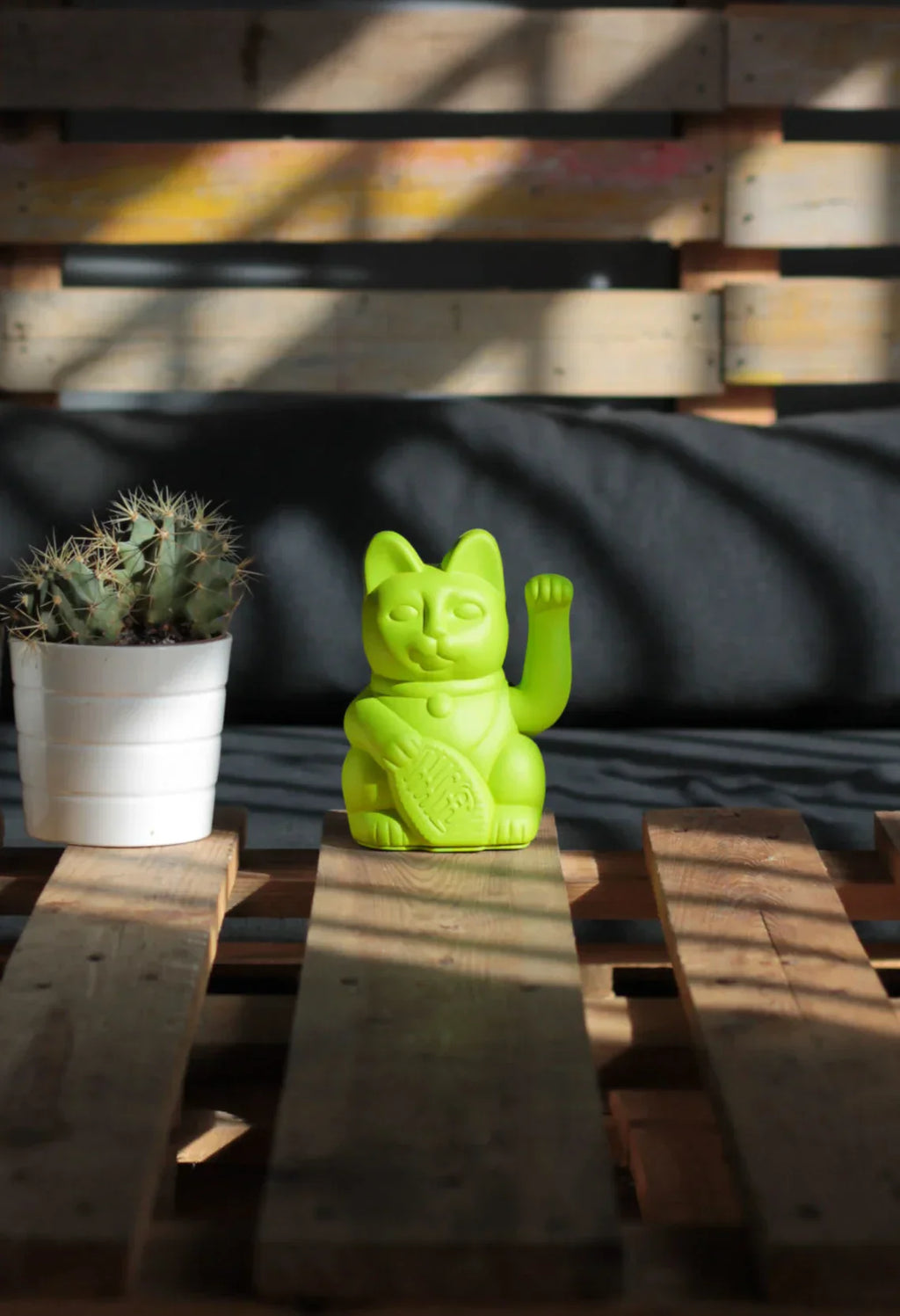 chat-chanceux-vert-mojito-diminuto-cielo 