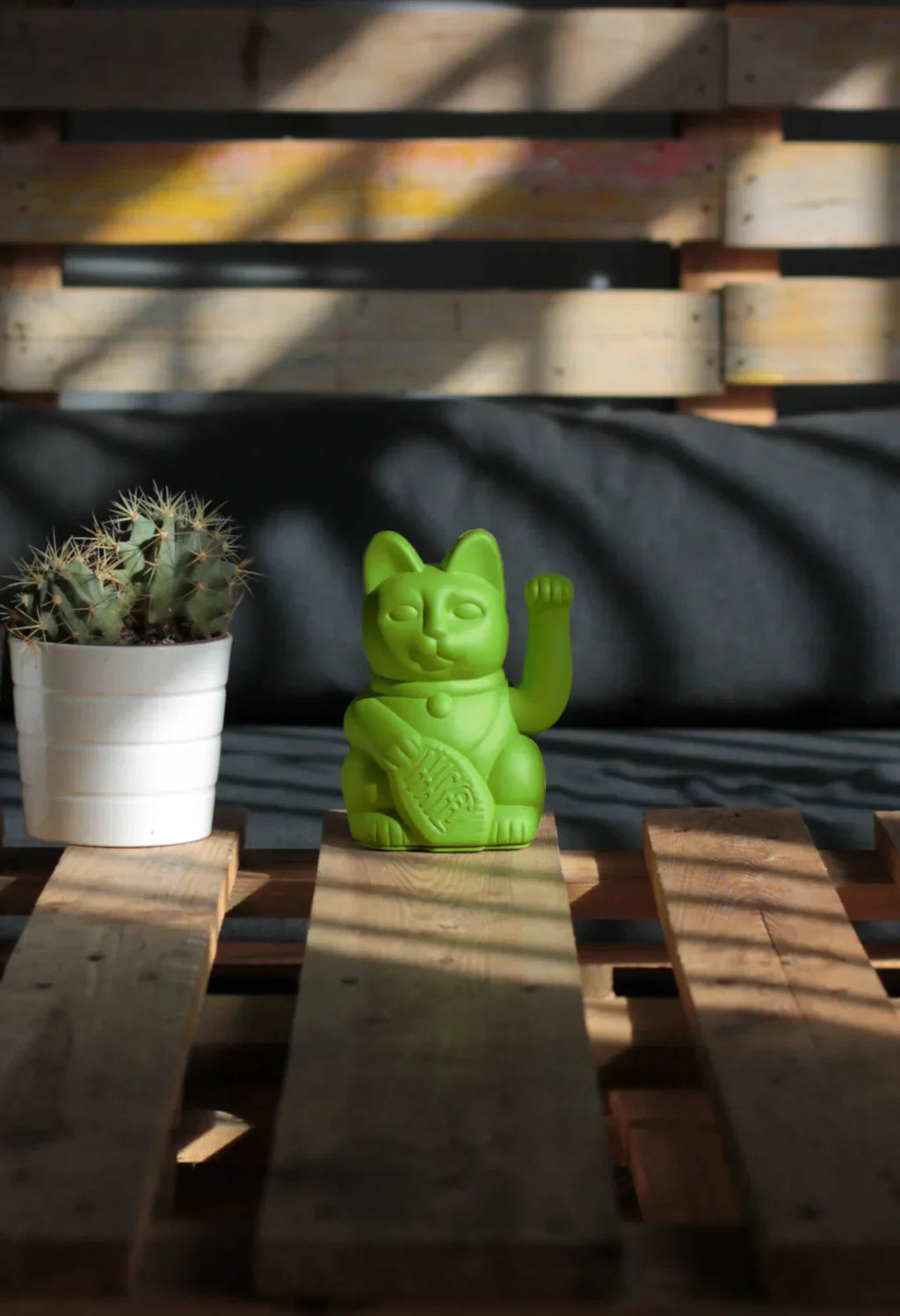 chat-chanceux-vert-hiulk-diminuto-cielo 