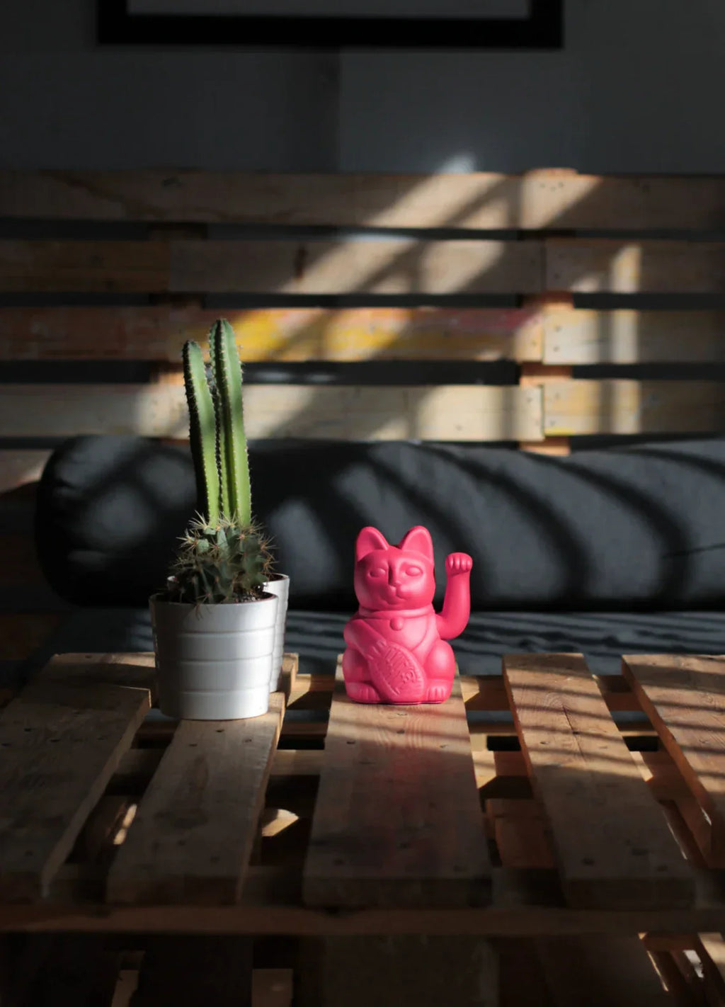 chat-chanceux-rouge-violet-diminuto-cielo 