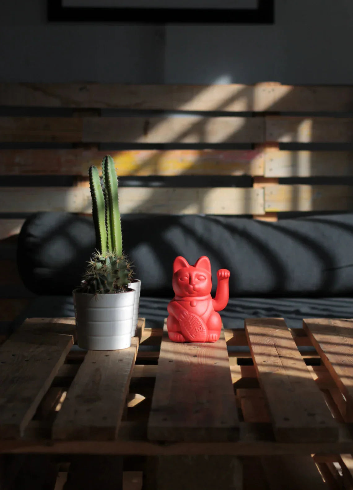 chat-chanceux-rouge-diminuto-cielo 