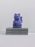 chat-chanceux-violet-velours-lcc-53449804-