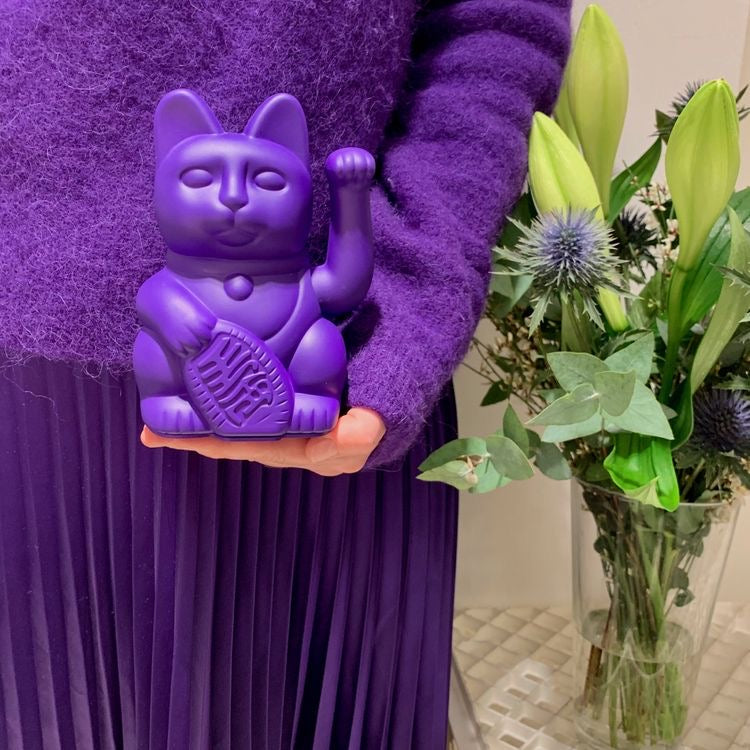 chat-chanceux-violet-donkey 